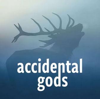 On Accidental Gods